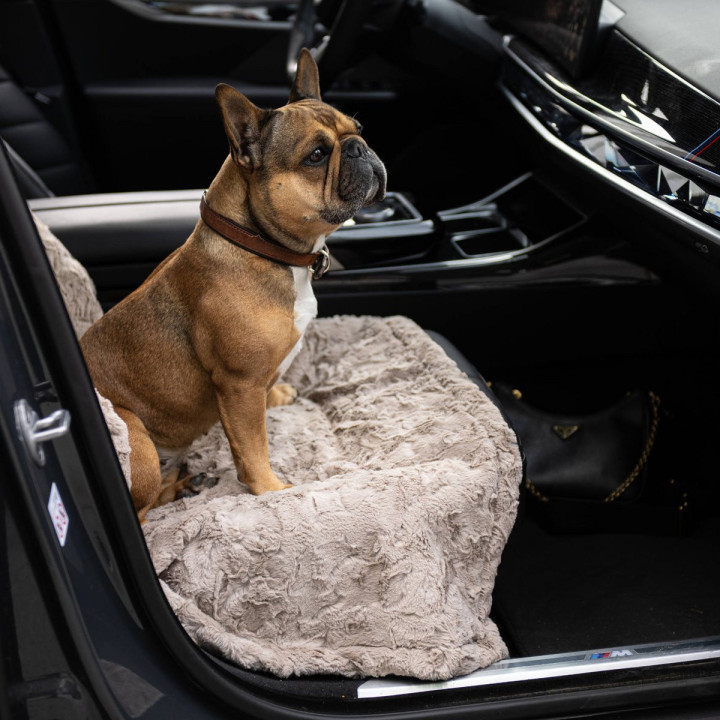 COZY Kuscheldecke für Hunde in Beige