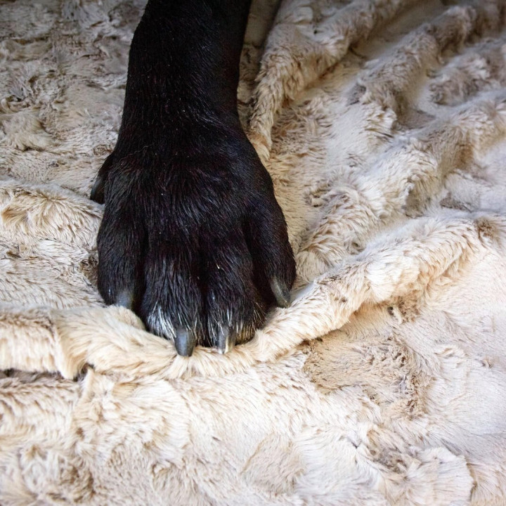 COZY Kuscheldecke für Hunde in Beige