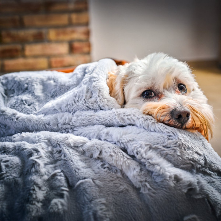 COZY Kuscheldecke für Hunde in Hellgrau