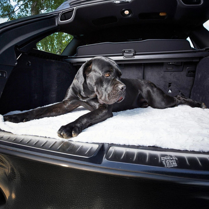 COZY Kuscheldecke für Hunde in Hellgrau