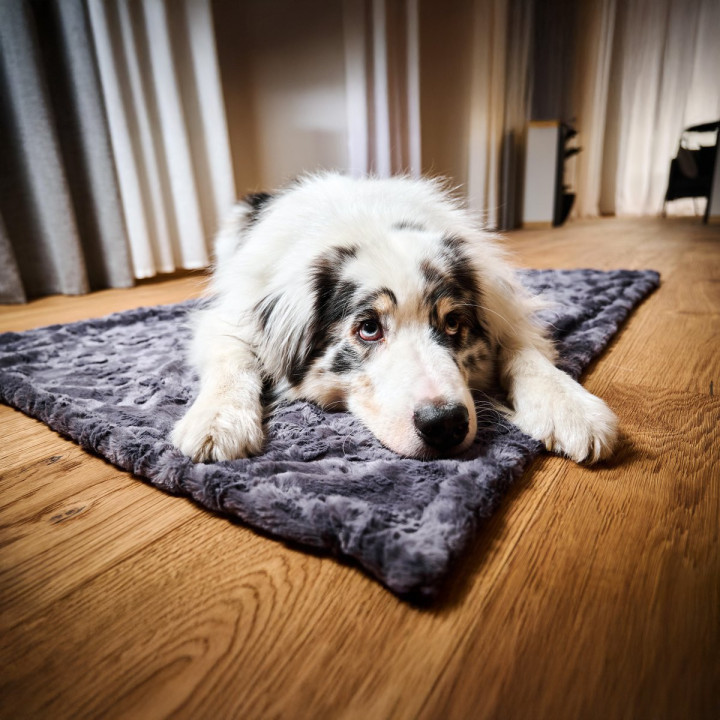 COZY Kuscheldecke für Hunde in Anthrazit