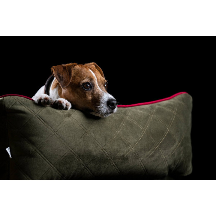 OXFORD I Classic Hundebett - Olive