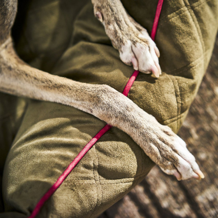 OXFORD I Classic Hundebett - Olive