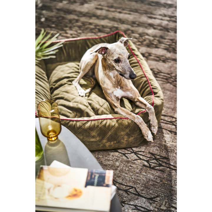 OXFORD I Classic Hundebett - Olive