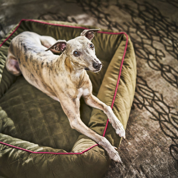 OXFORD I Classic Hundebett - Olive