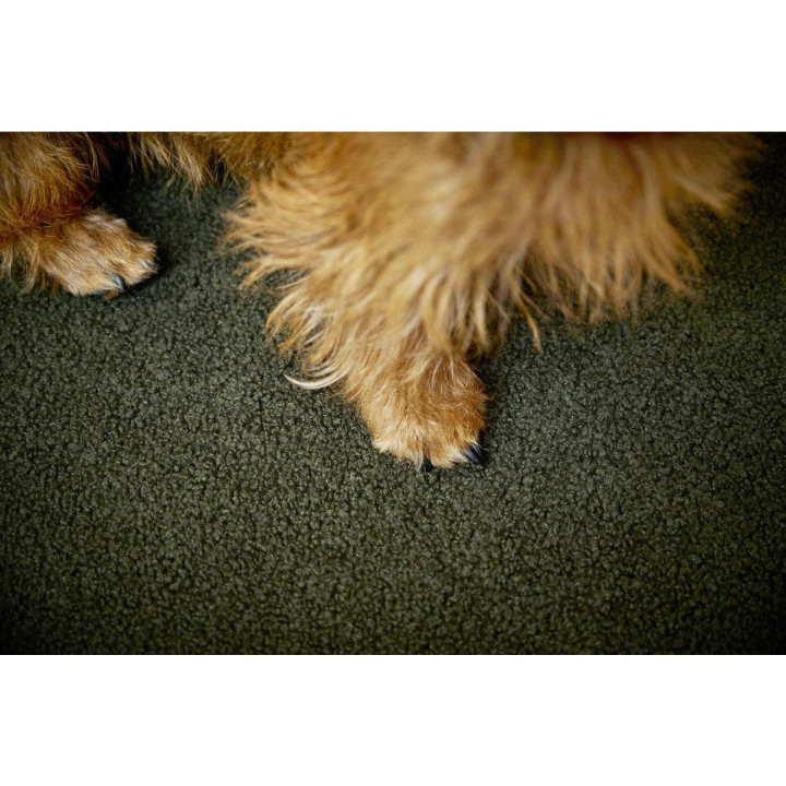 CLASSIC Hundebett - TEDDY OLIVE